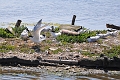 Holiday Dorset_9352_edited-1